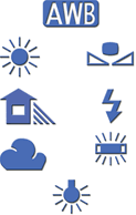 A group of blue symbols

Description automatically generated