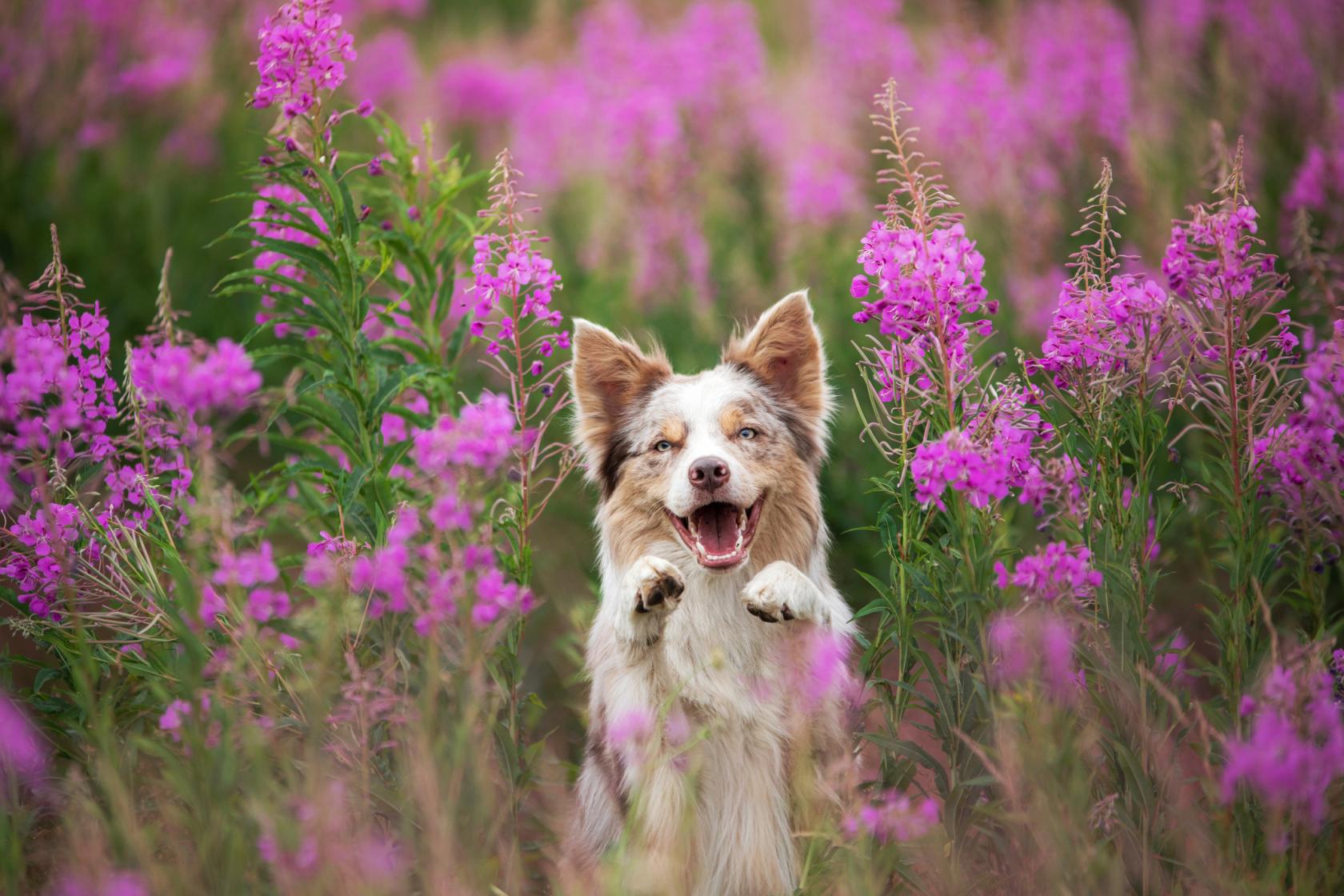 iStock-2006092384.jpg