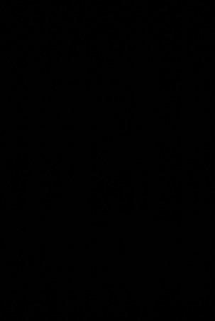 black 2.jpg