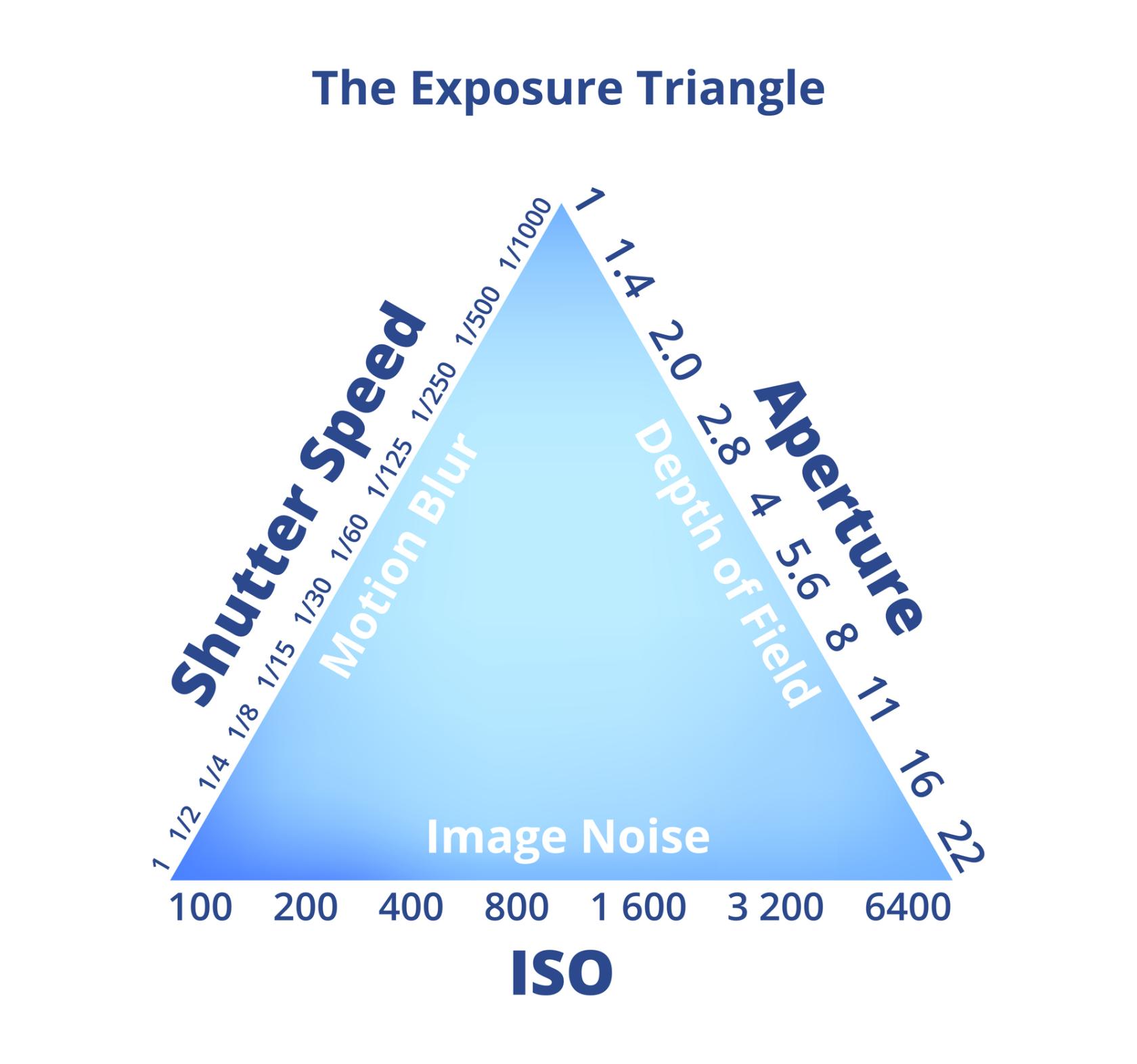iStock-1290155999.jpg