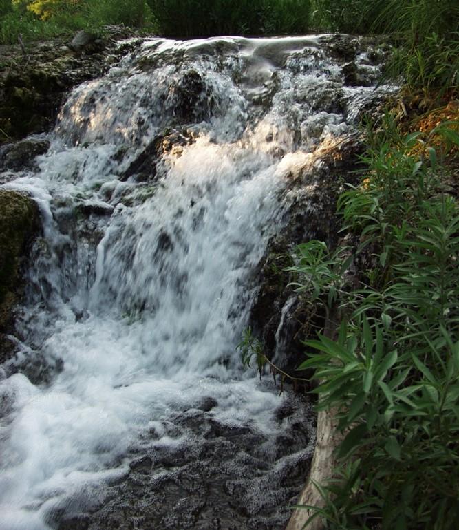 Picture6.jpg