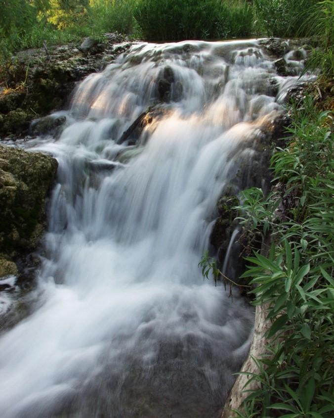 Picture7.jpg